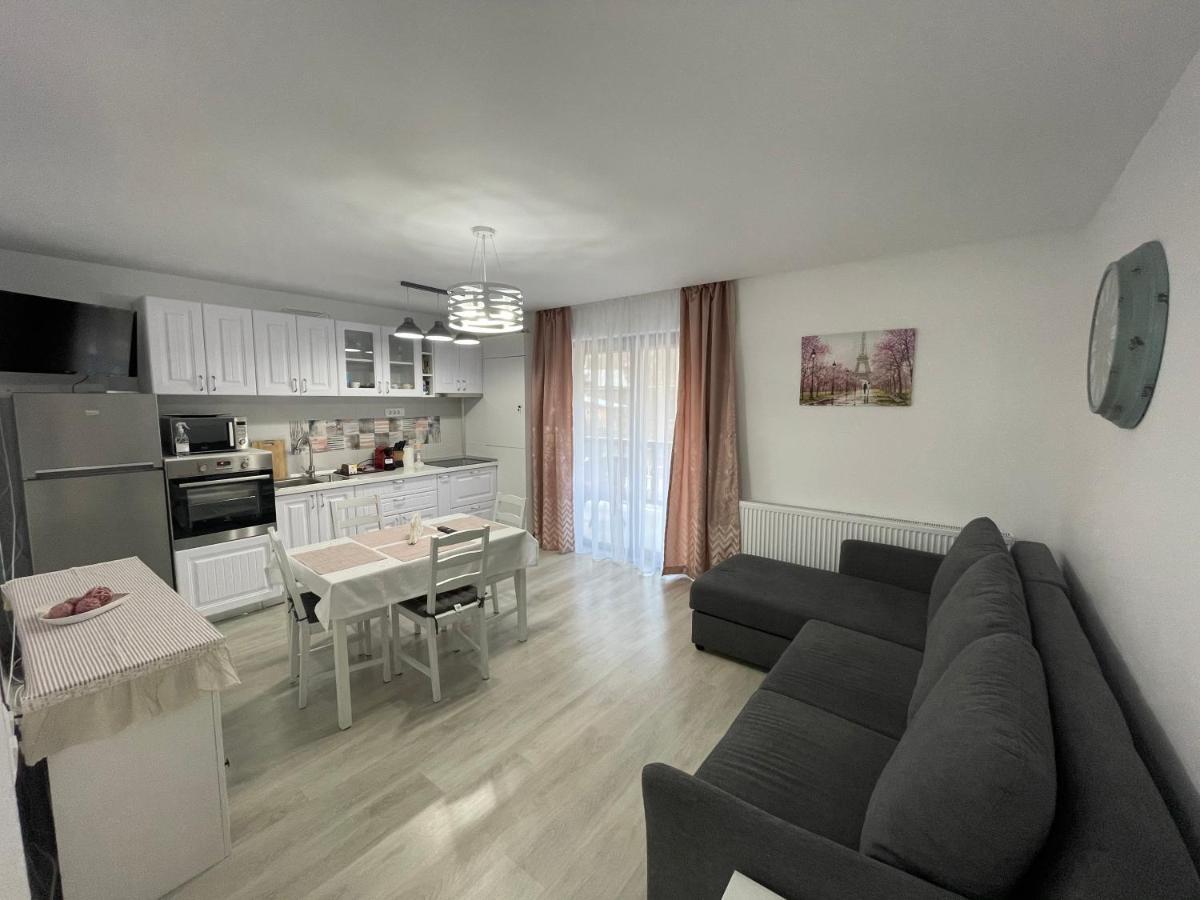 Castle Residence Apt. Eminescu Buşteni Zewnętrze zdjęcie